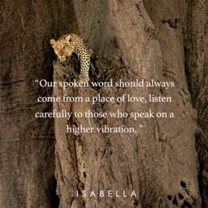 Mandarin Sunrise Press